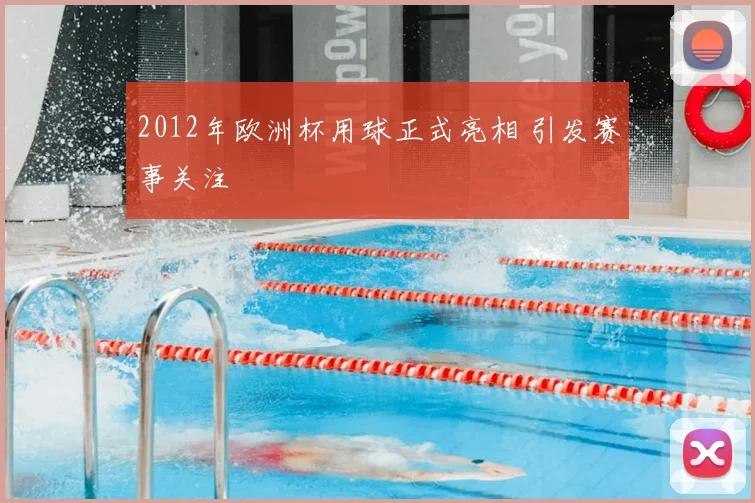 2012年欧洲杯用球正式亮相 引发赛事关注
