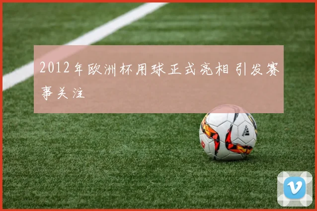2012年欧洲杯用球正式亮相 引发赛事关注