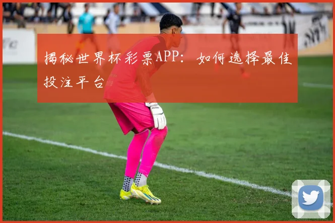 揭秘世界杯彩票APP:如何选择最佳投注平台