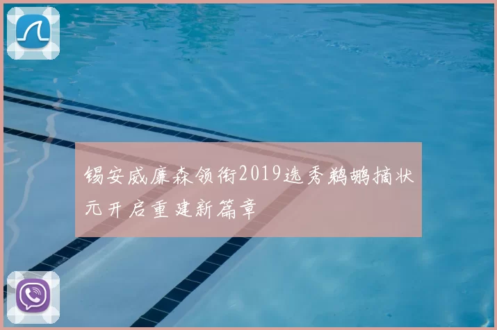 锡安威廉森领衔2019选秀鹈鹕摘状元开启重建新篇章
