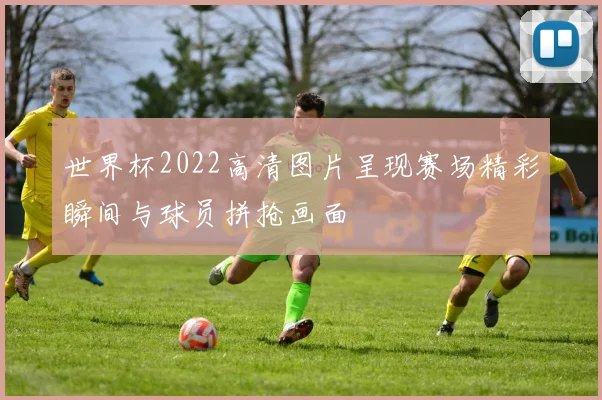 世界杯2022高清图片呈现赛场精彩瞬间与球员拼抢画面