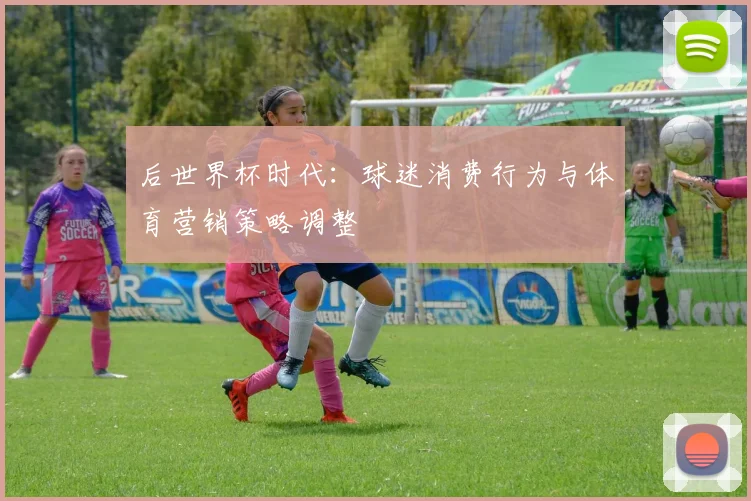后世界杯时代:球迷消费行为与体育营销策略调整